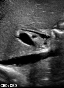6-9-2011.jpg
