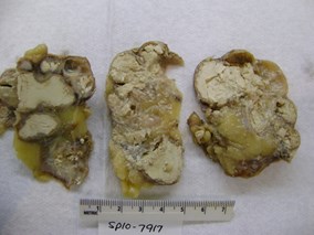 DSC01406.JPG