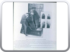 Until the 1950s, many shoe stores had fluoroscopic machines in their shops to show you (or your parents) how well the shoe fit on your foot